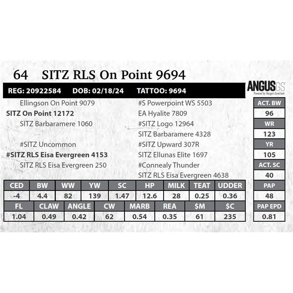 SITZ RLS On Point 9694