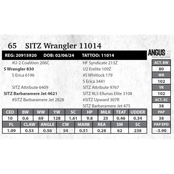 SITZ Wrangler 11014