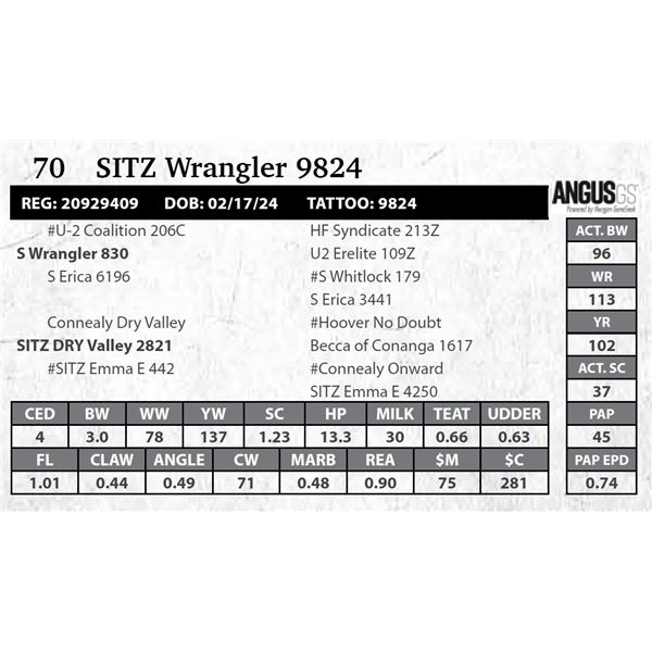 SITZ Wrangler 9824