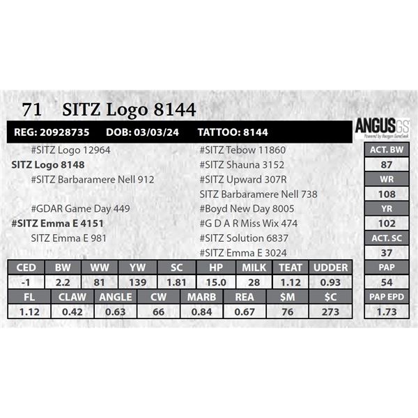 SITZ Logo 8144