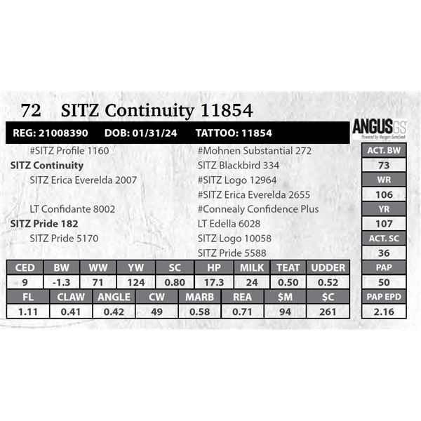 SITZ Continuity 11854