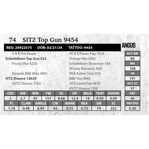 SITZ Top Gun 9454