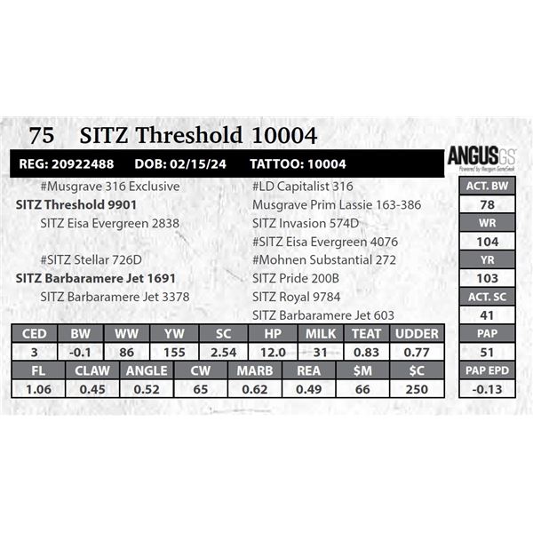 SITZ Threshold 10004