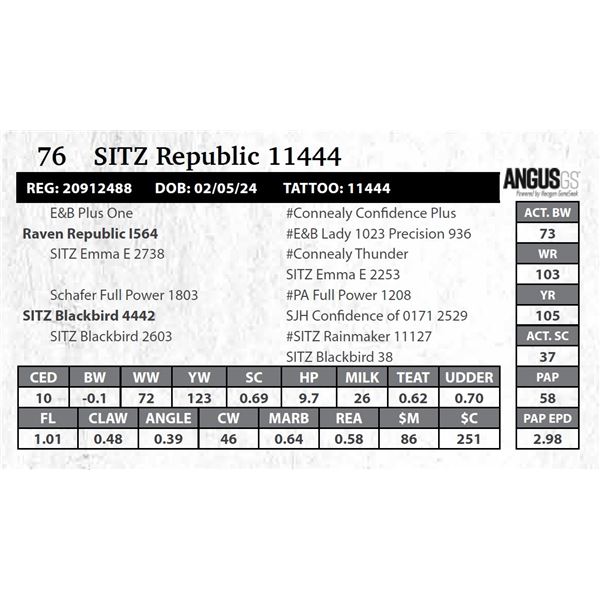 SITZ Republic 11444