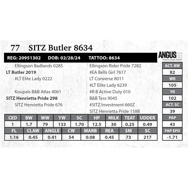 SITZ Butler 8634