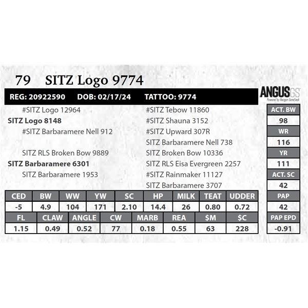 SITZ Logo 9774