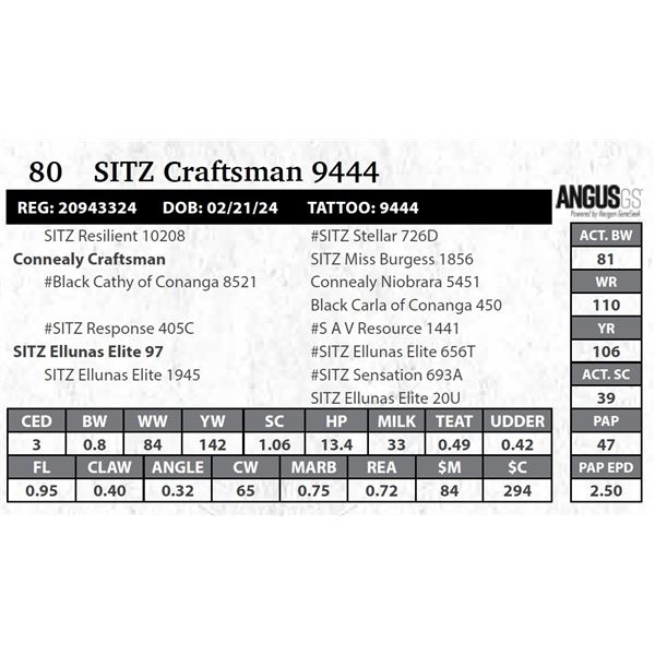 SITZ Craftsman 9444