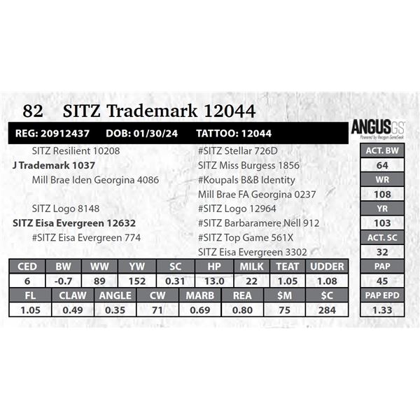 SITZ Trademark 12044