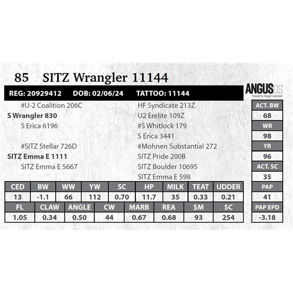 SITZ Wrangler 11144