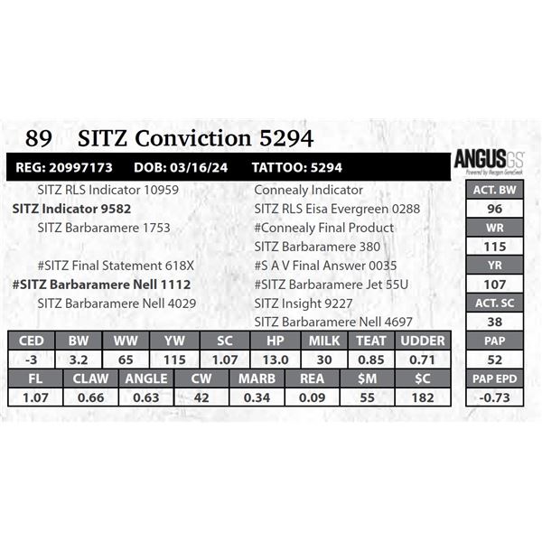 SITZ Conviction 5294
