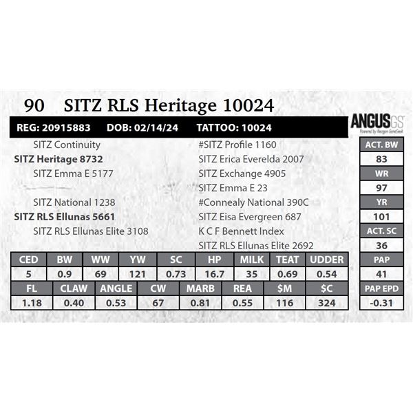 SITZ RLS Heritage 10024