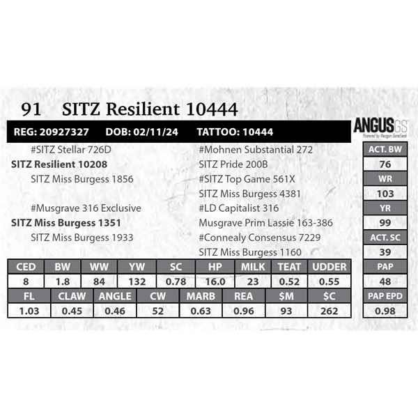 SITZ Resilient 10444