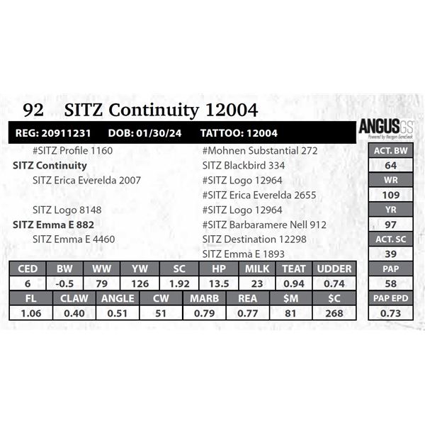 SITZ Continuity 12004