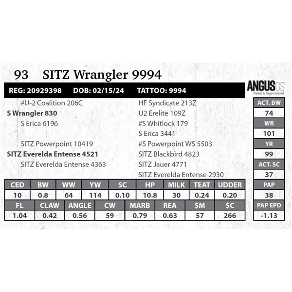 SITZ Wrangler 9994