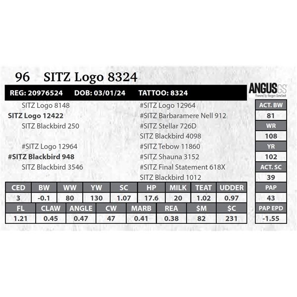SITZ Logo 8324