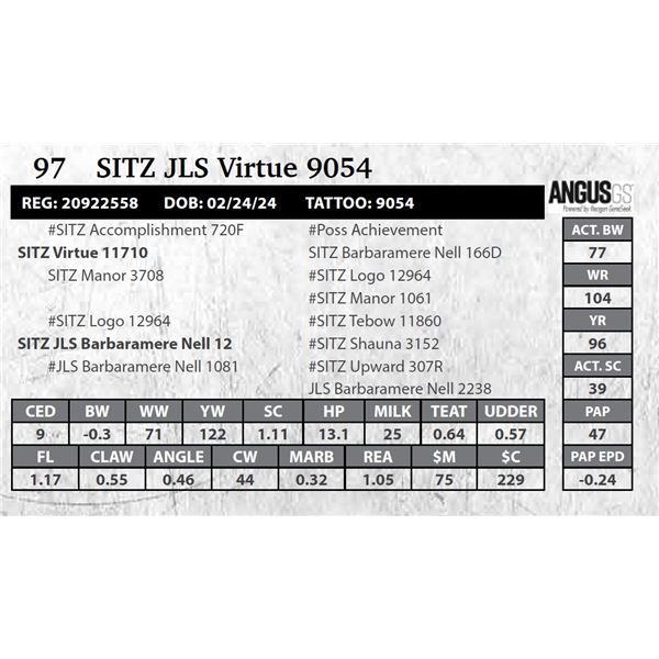 SITZ JLS Virtue 9054