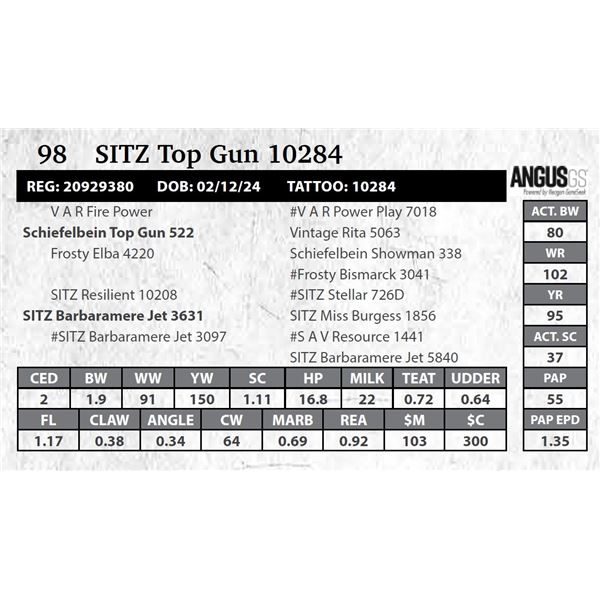 SITZ Top Gun 10284