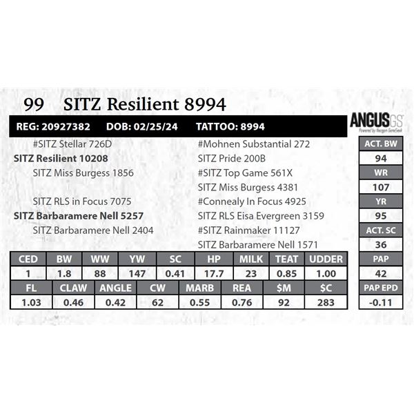 SITZ Resilient 8994