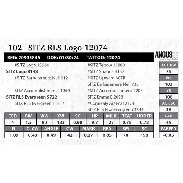 SITZ RLS Logo 12074