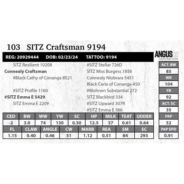 SITZ Craftsman 9194