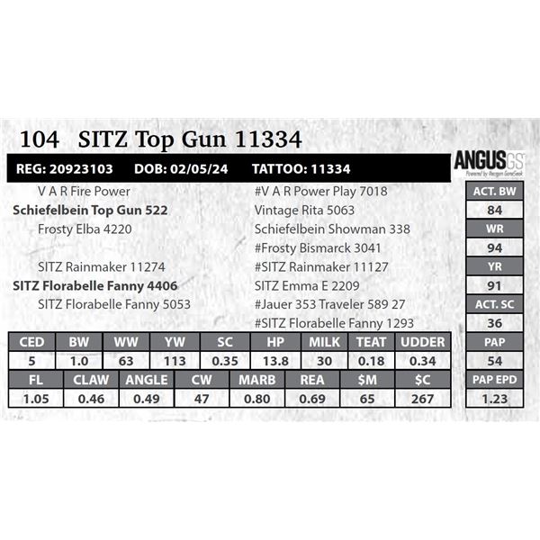 SITZ Top Gun 11334