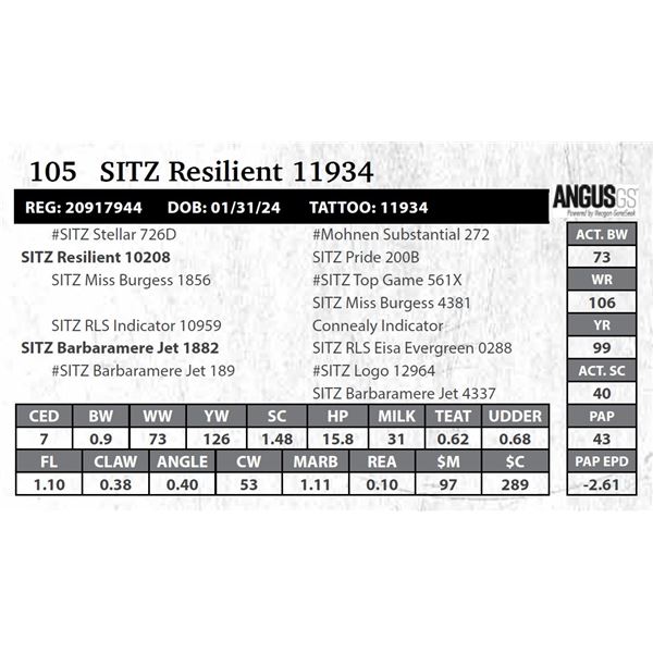 SITZ Resilient 11934