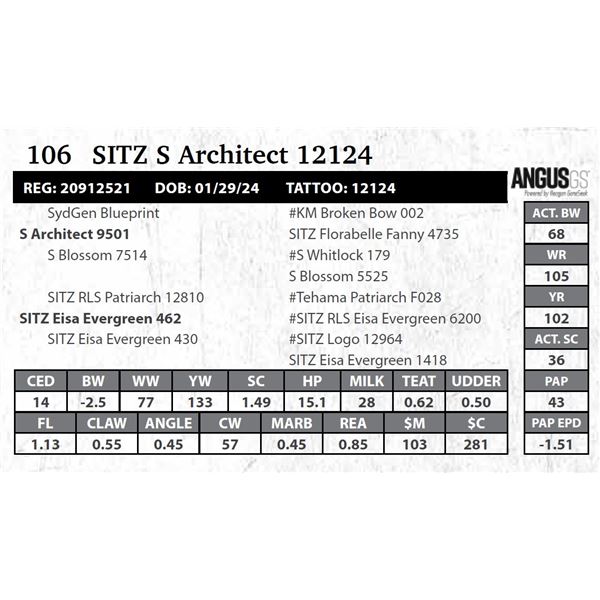 SITZ S Architect 12124