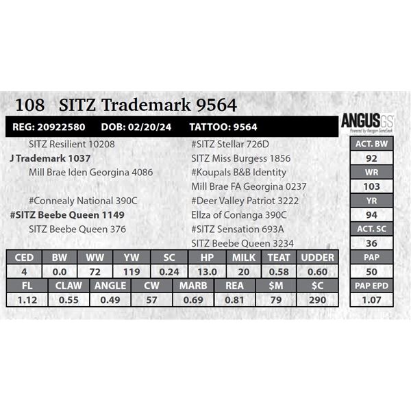 SITZ Trademark 9564