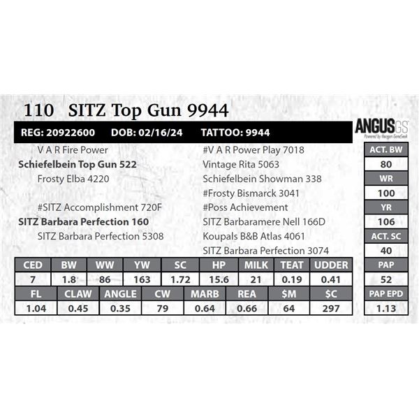SITZ Top Gun 9944