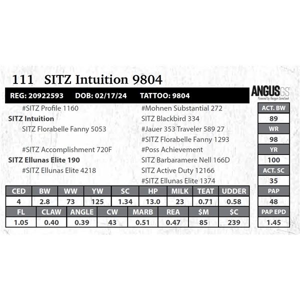 SITZ Intuition 9804