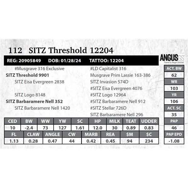 SITZ Threshold 12204