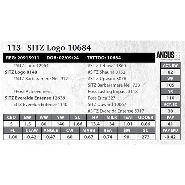SITZ Logo 10684