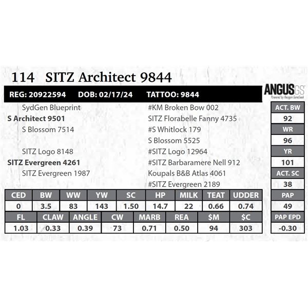 SITZ Architect 9844
