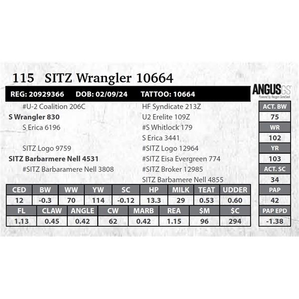 SITZ Wrangler 10664
