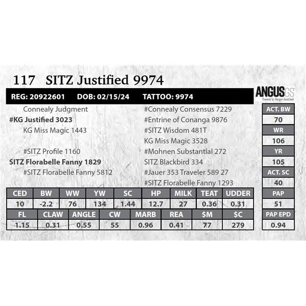 SITZ Justified 9974