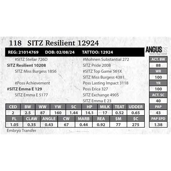 SITZ Resilient 12924