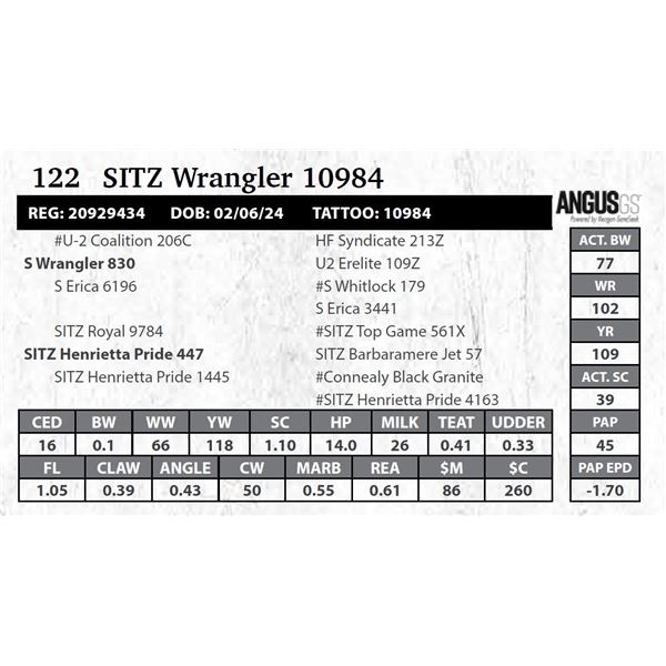 SITZ Wrangler 10984
