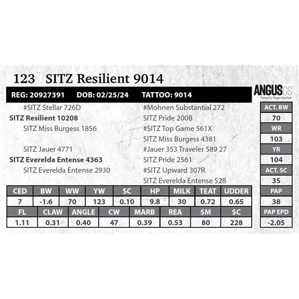 SITZ Resilient 9014