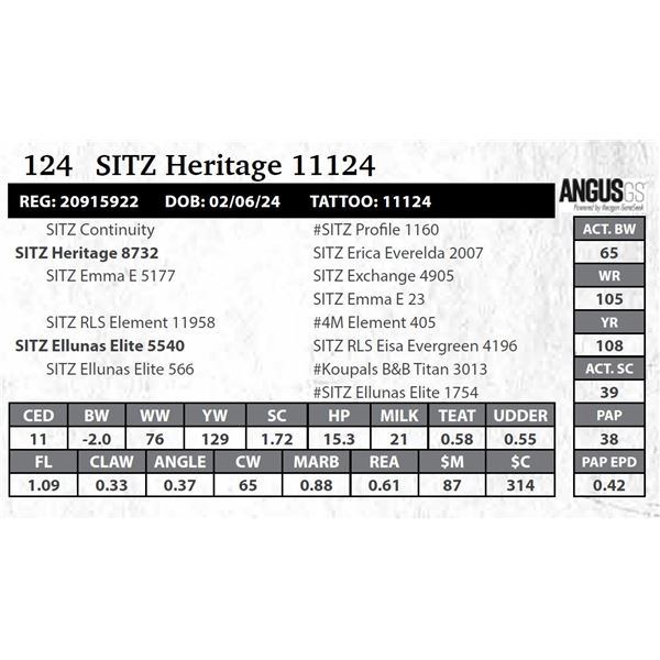SITZ Heritage 11124