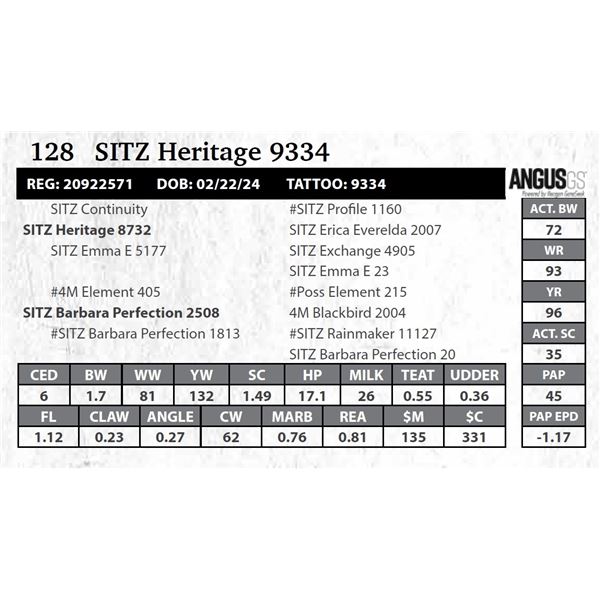 SITZ Heritage 9334