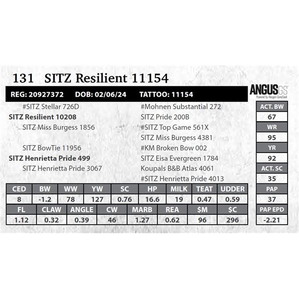 SITZ Resilient 11154