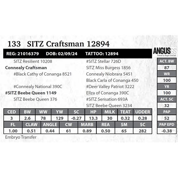 SITZ Craftsman 12894