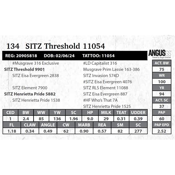 SITZ Threshold 11054