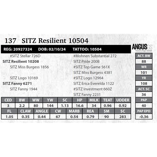 SITZ Resilient 10504
