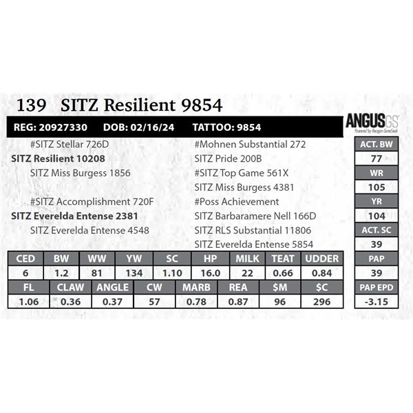 SITZ Resilient 9854