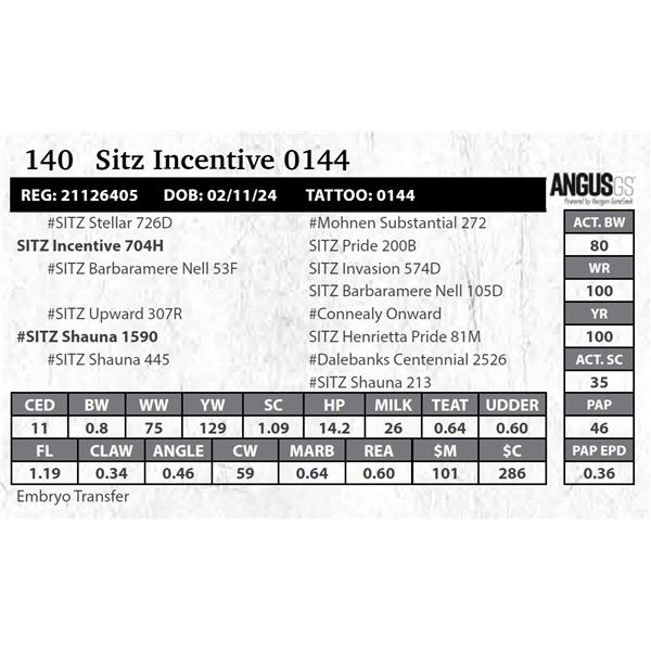Sitz Incentive 0144