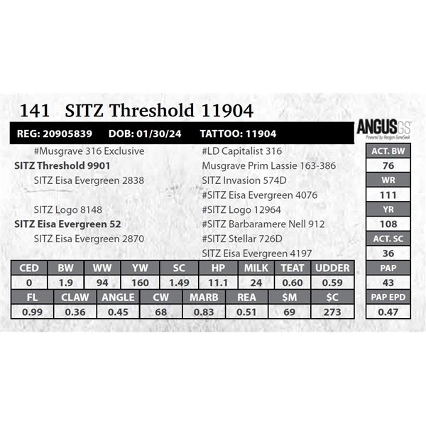 SITZ Threshold 11904