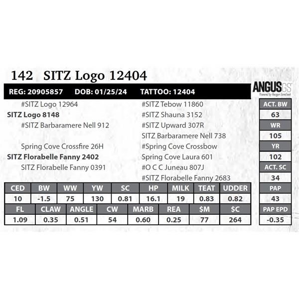 SITZ Logo 12404