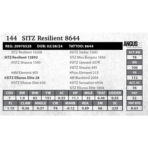 SITZ Resilient 8644