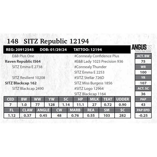 SITZ Republic 12194